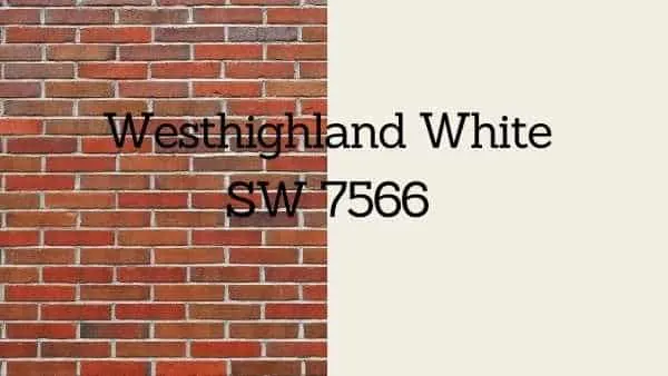 Sw westhighland white paint swatch held against red brick